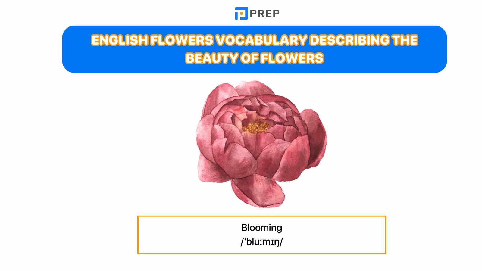 English flowers vocabulary describing the beauty of flowers