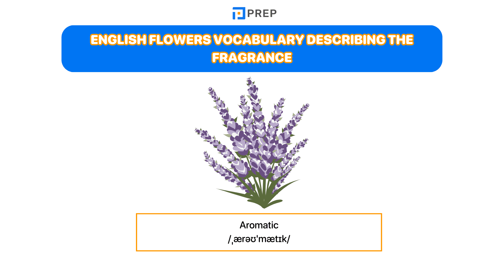 English flowers vocabulary describing the fragrance