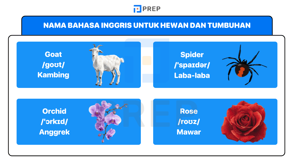 Nama Bahasa Inggris untuk Hewan dan Tumbuhan