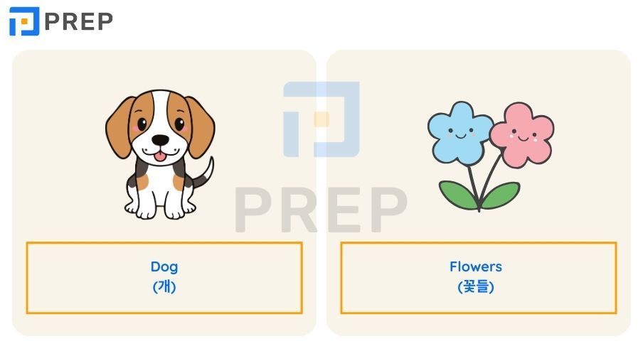 영어 명사의 체계적 이해: 종류, 식별법 및 올바른 용법의 총정리