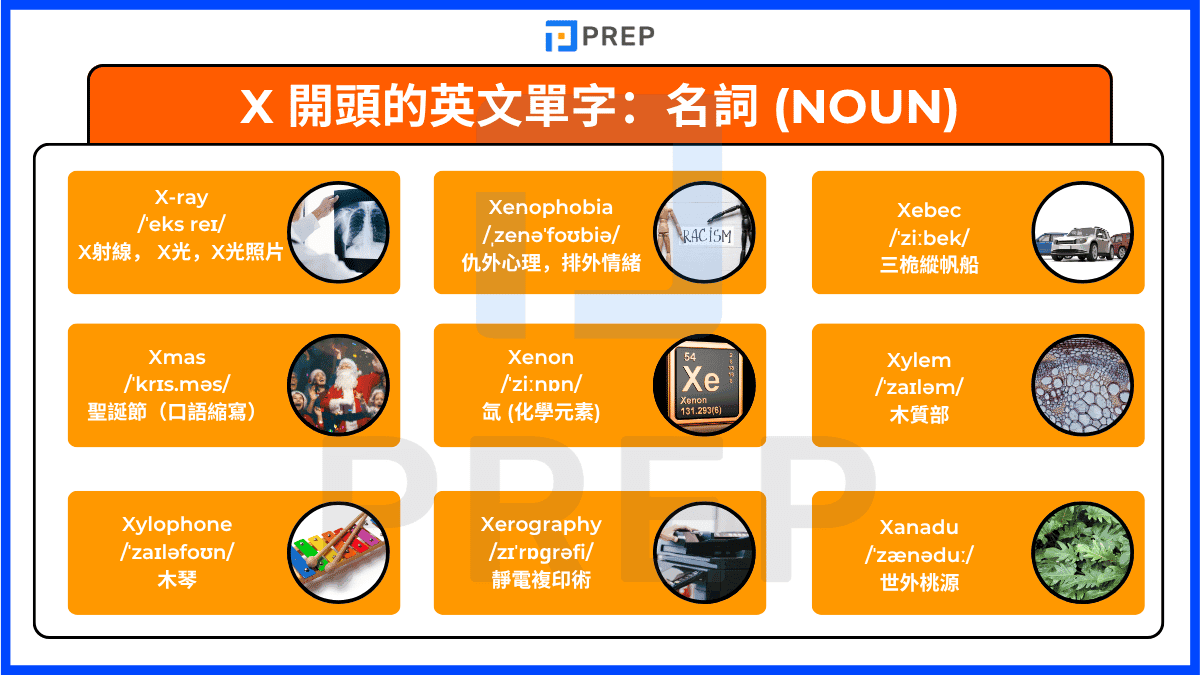 english-nouns-beginning-with-x.png