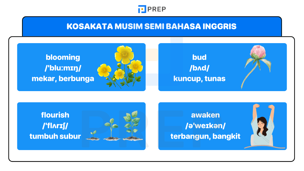 Kosakata Musim Semi Bahasa Inggris