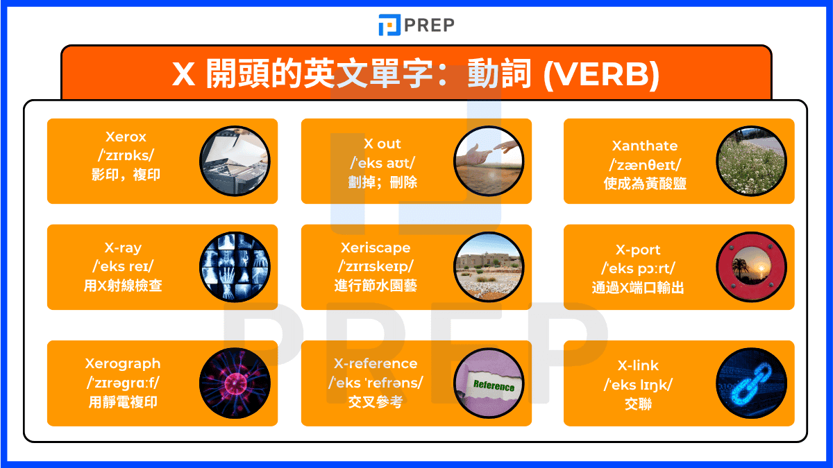 english-verbs-beginning-with-x.png