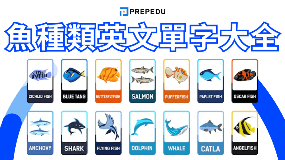 魚英文怎麼說? 魚的英文、魚種類英文與發音拼字一次整理