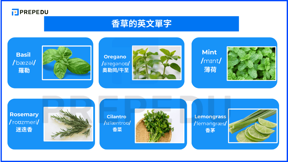 香草的英文單字