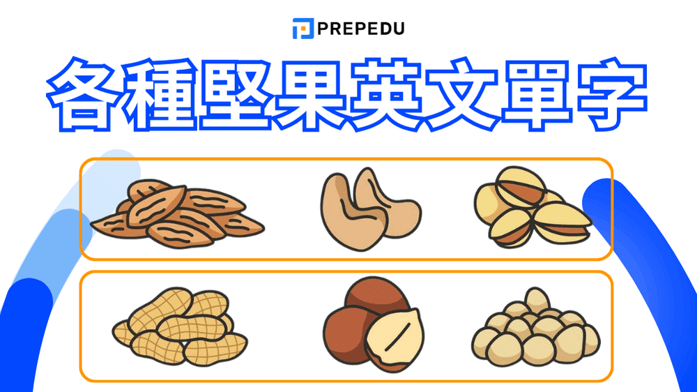 堅果英文怎麼說？