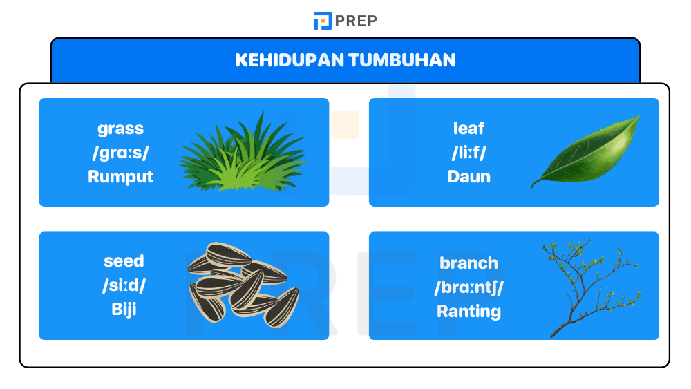 Kehidupan Tumbuhan