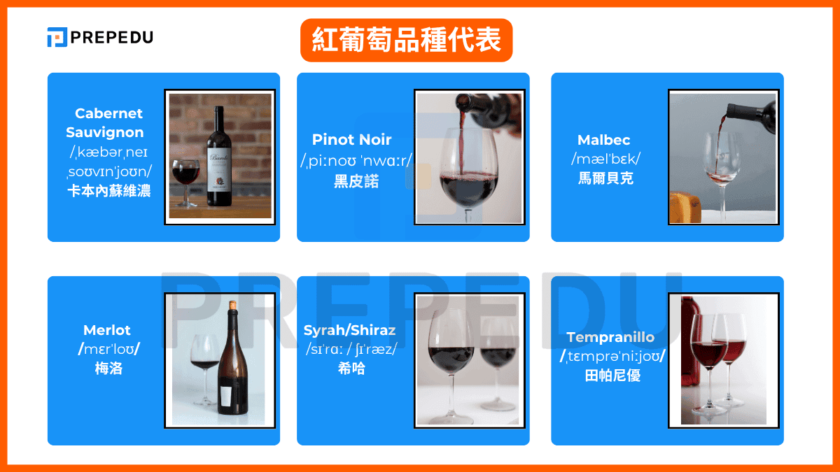 紅葡萄品種代表