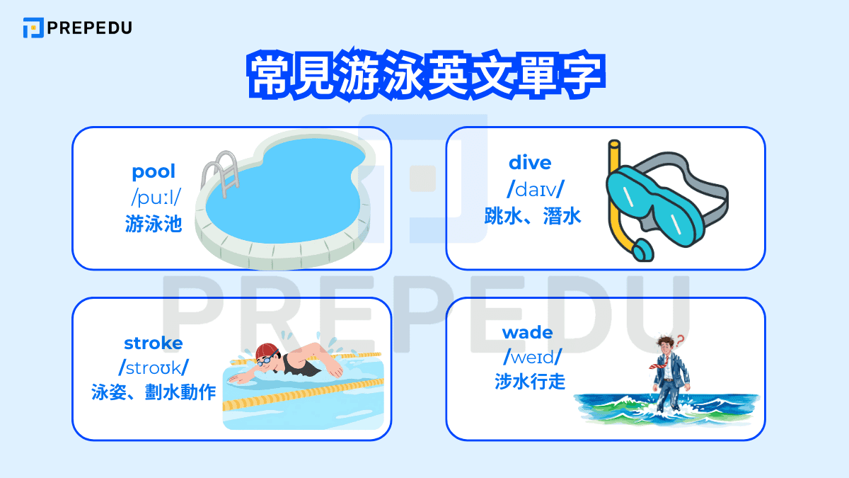 常見游泳英文單字