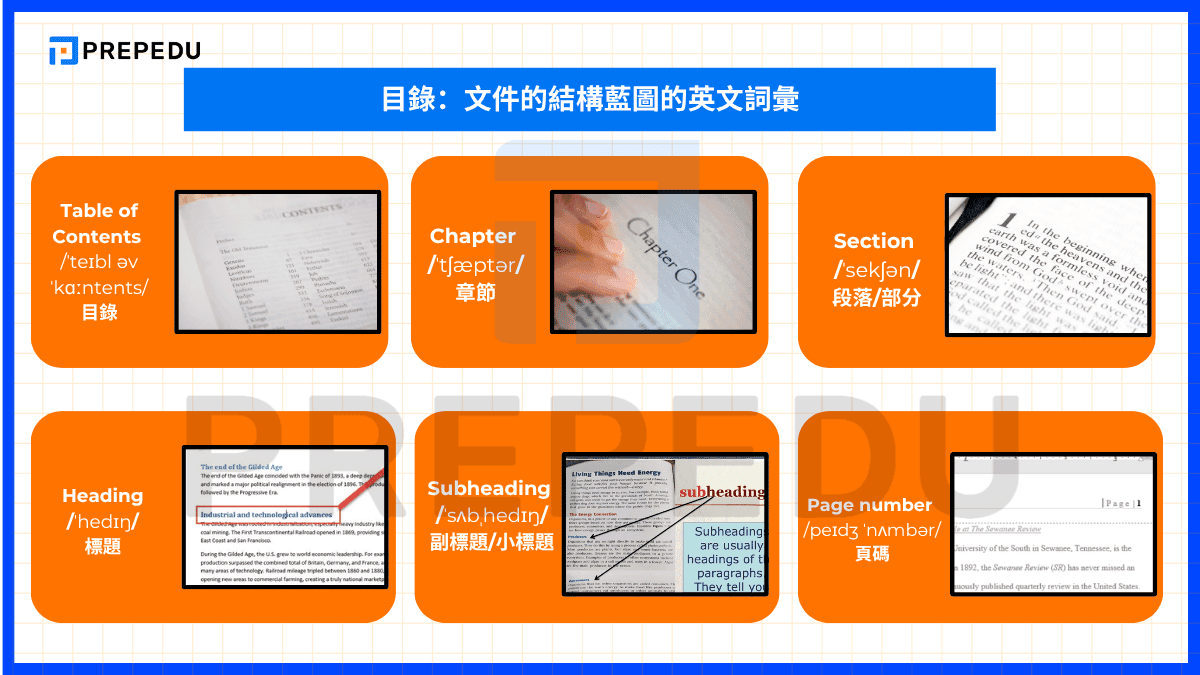 文件的結構藍圖的英文單字