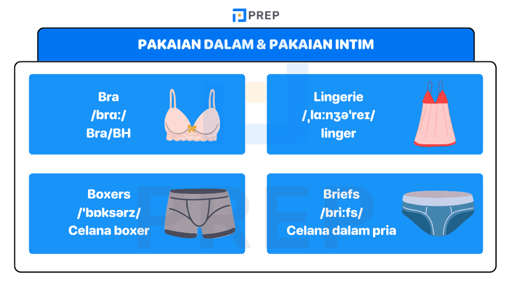 Kosakata Pakaian Dalam & Pakaian Intim