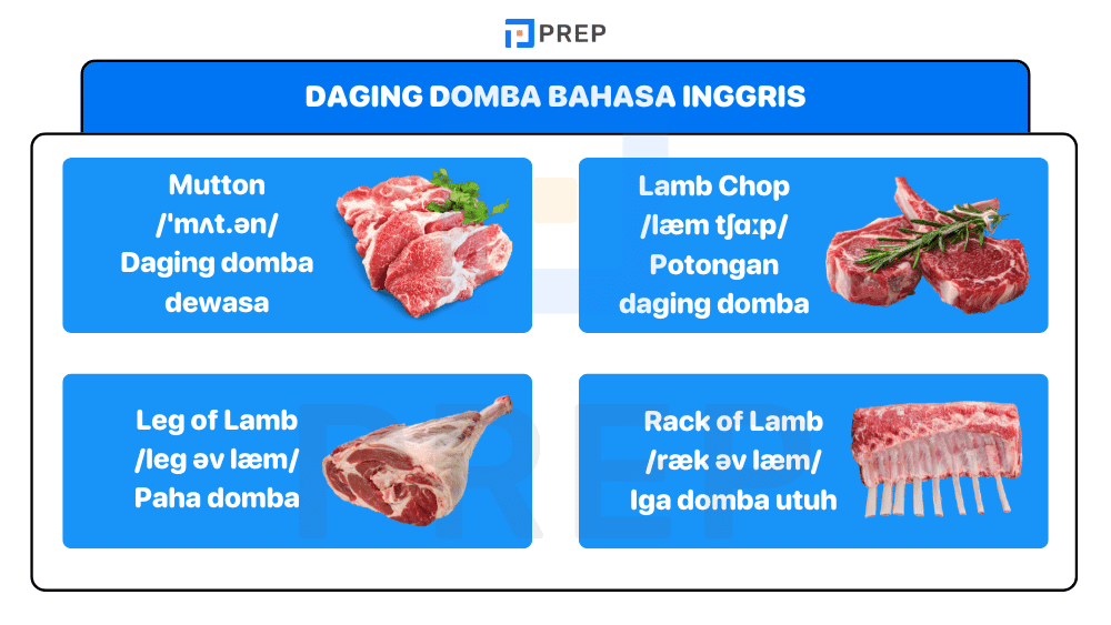 Daging Domba Bahasa Inggris​