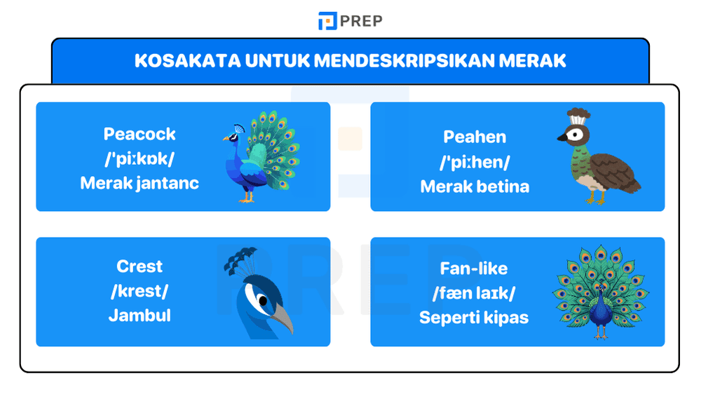 Kosakata Rahasia agar Deskripsi Burung Merak Lebih Hidup