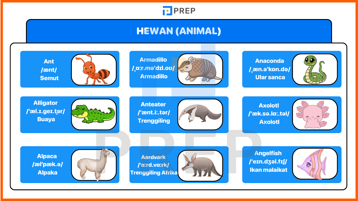 Bahasa inggris dari huruf A - Hewan