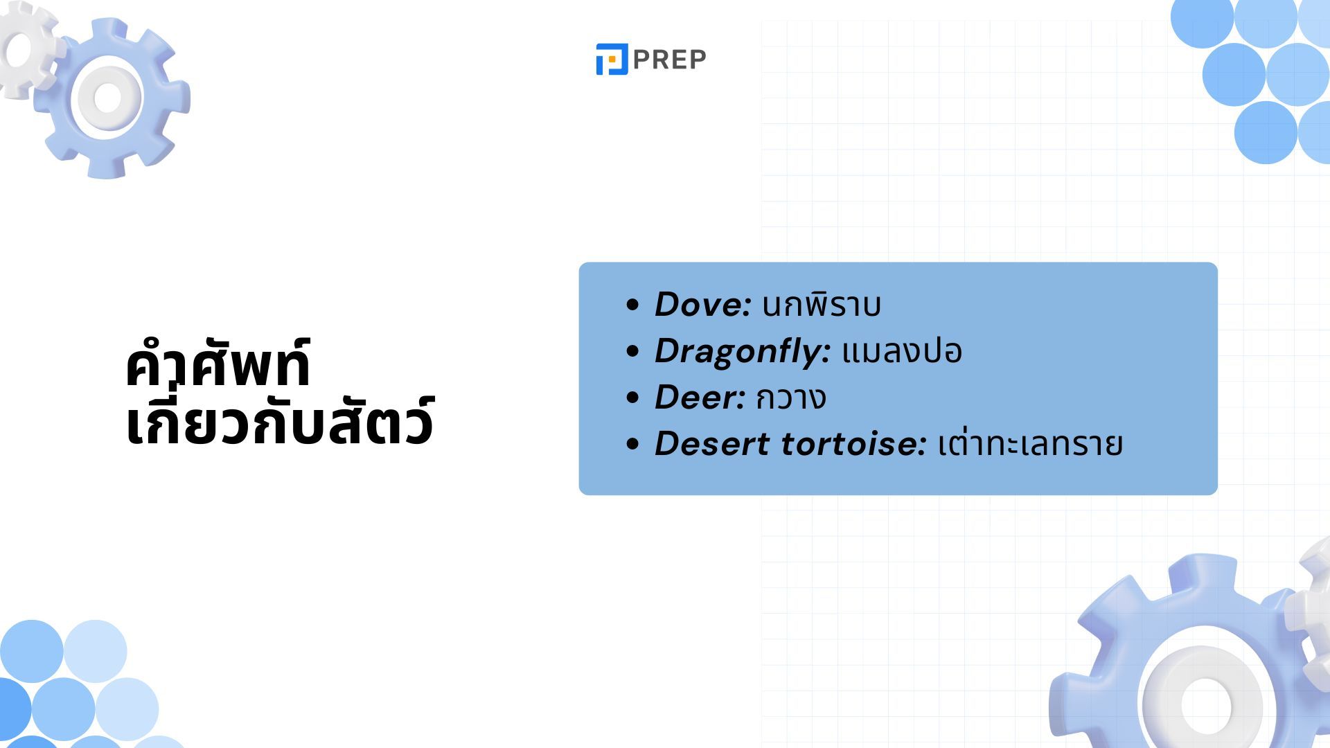 รวมคำศัพท์ที่ขึ้นต้นด้วย D ภาษาอังกฤษ - ความหมายและตัวอย่าง