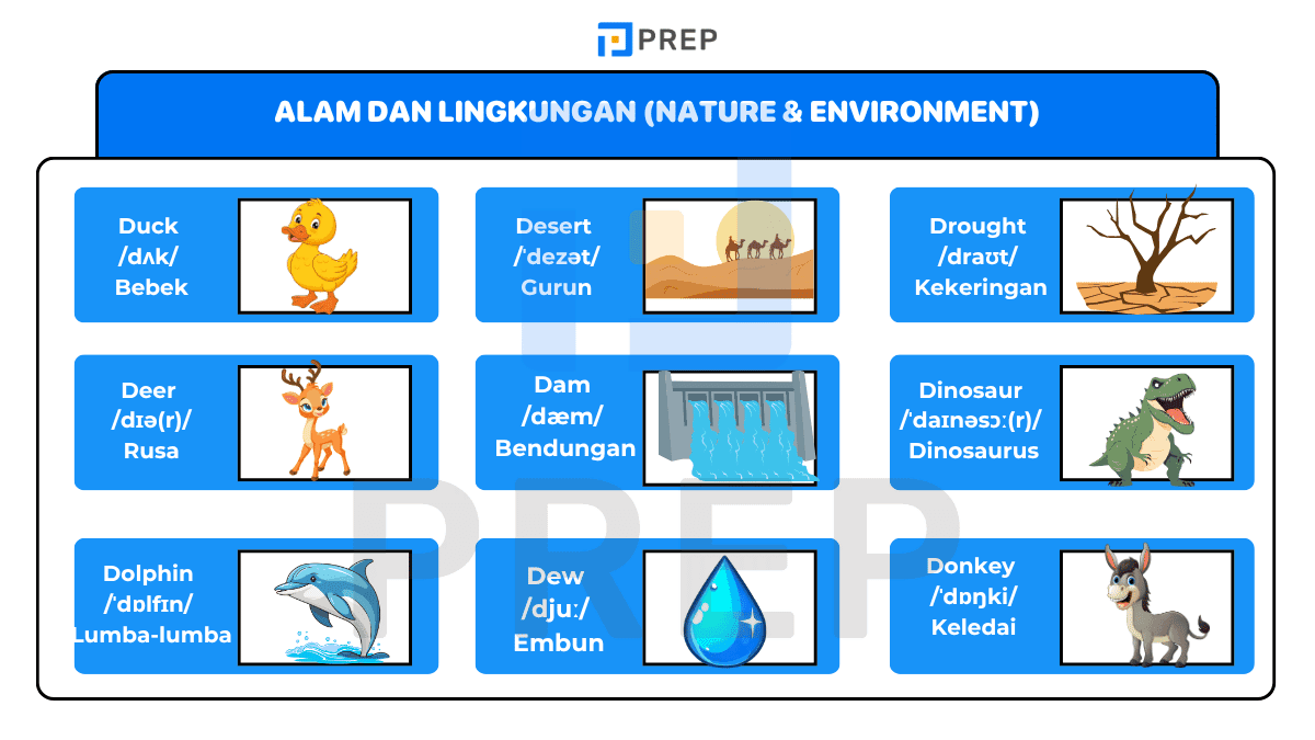Alam dan Lingkungan (Nature & Environment)