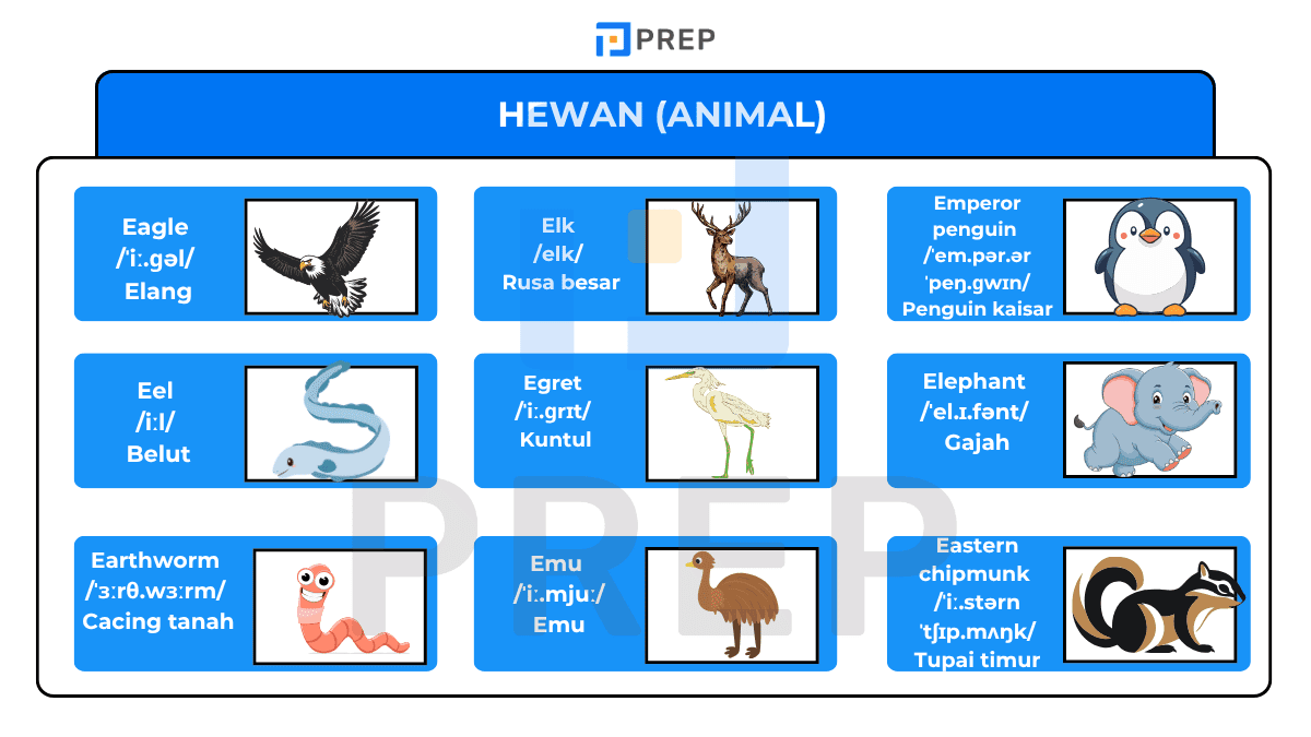 Bahasa inggris dari e - Hewan