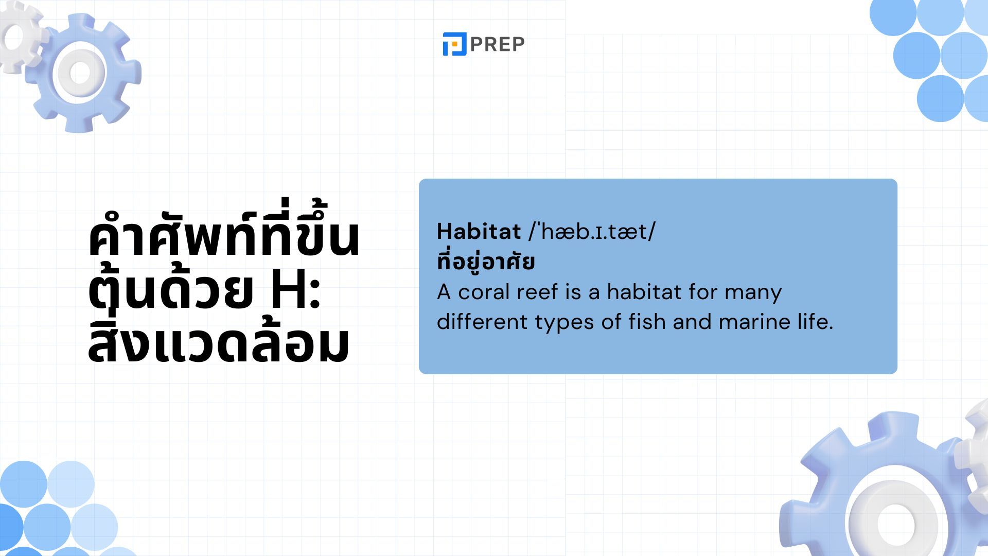 คำศัพท์ที่ขึ้นต้นด้วย H - ความหมายและตัวอย่าง
