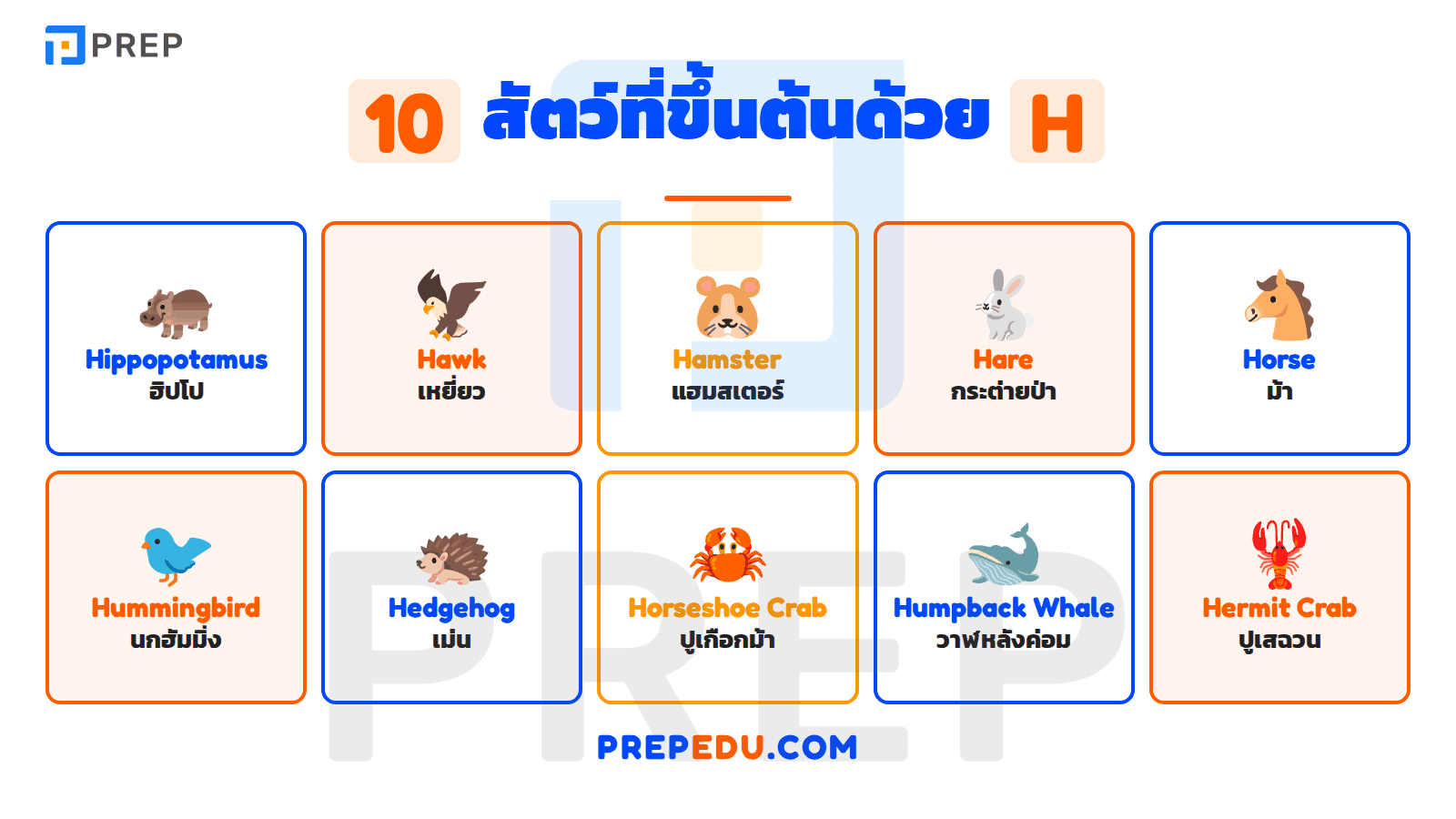 คำศัพท์ที่ขึ้นต้นด้วย H หมวดสัตว์