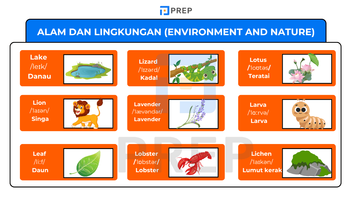 Alam dan Lingkungan (Environment and Nature)