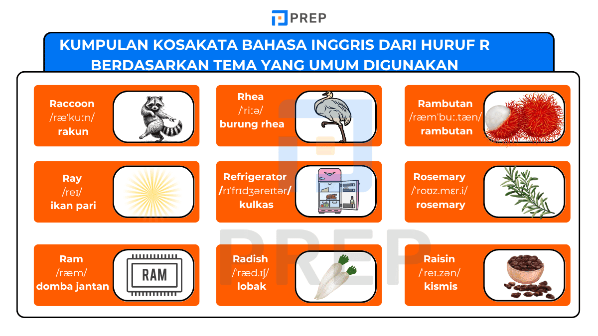 Kumpulan kosakata bahasa Inggris dari huruf R berdasarkan tema yang umum digunakan