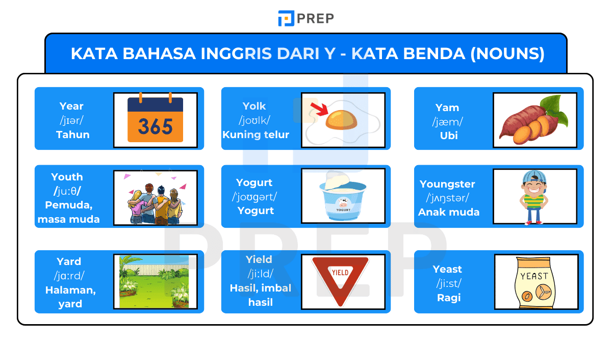 kata bahasa inggris dari y - Kata Benda (Nouns)