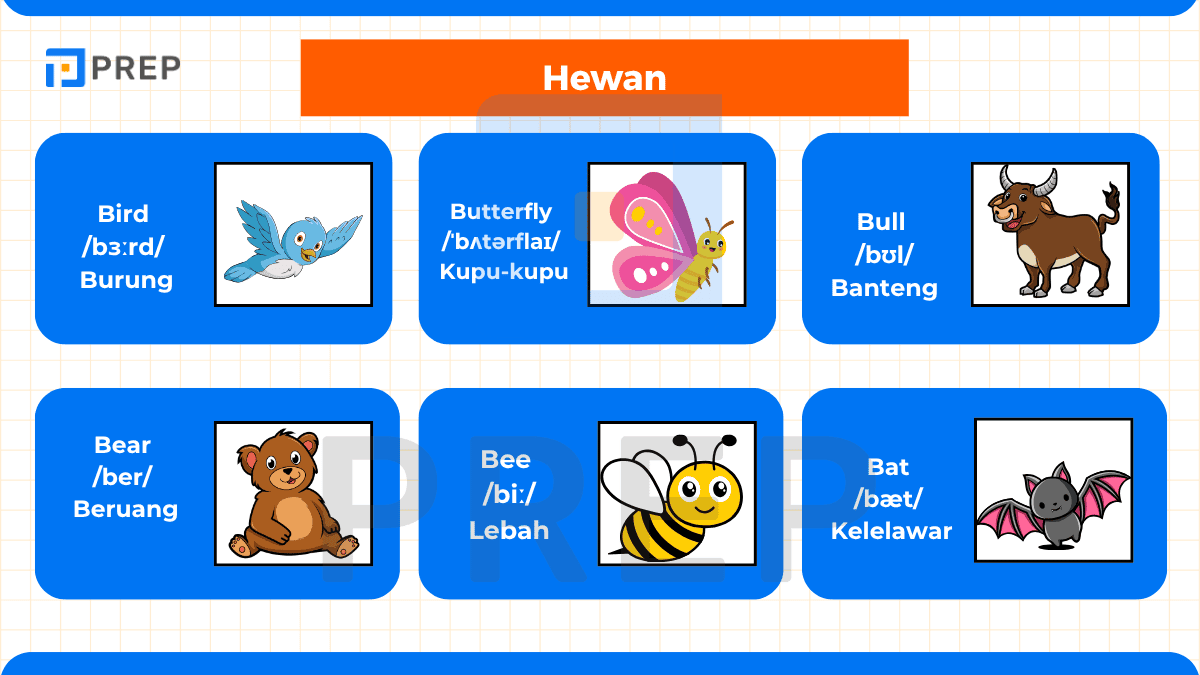 Bahasa Inggris dari Huruf B - Hewan
