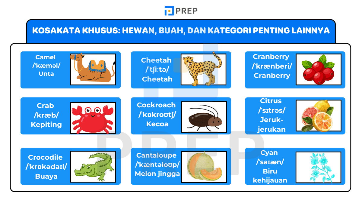 Kosakata Khusus: Hewan, Buah, dan Kategori Penting Lainnya
