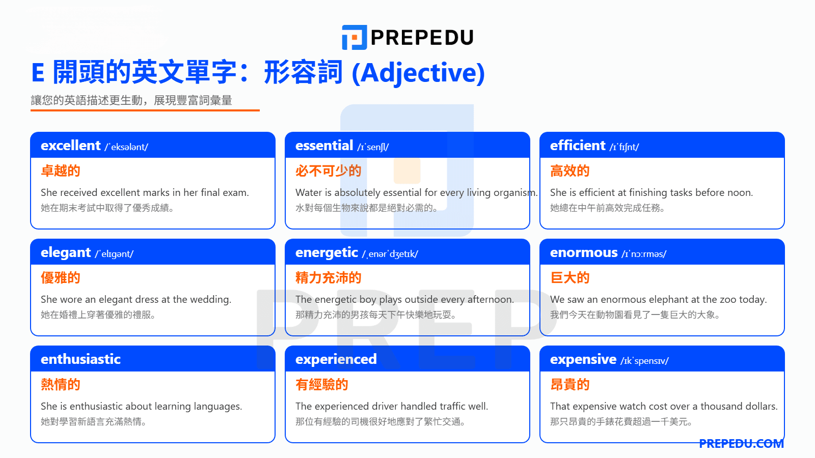 E 開頭的英文單字形容詞 (Adjective)