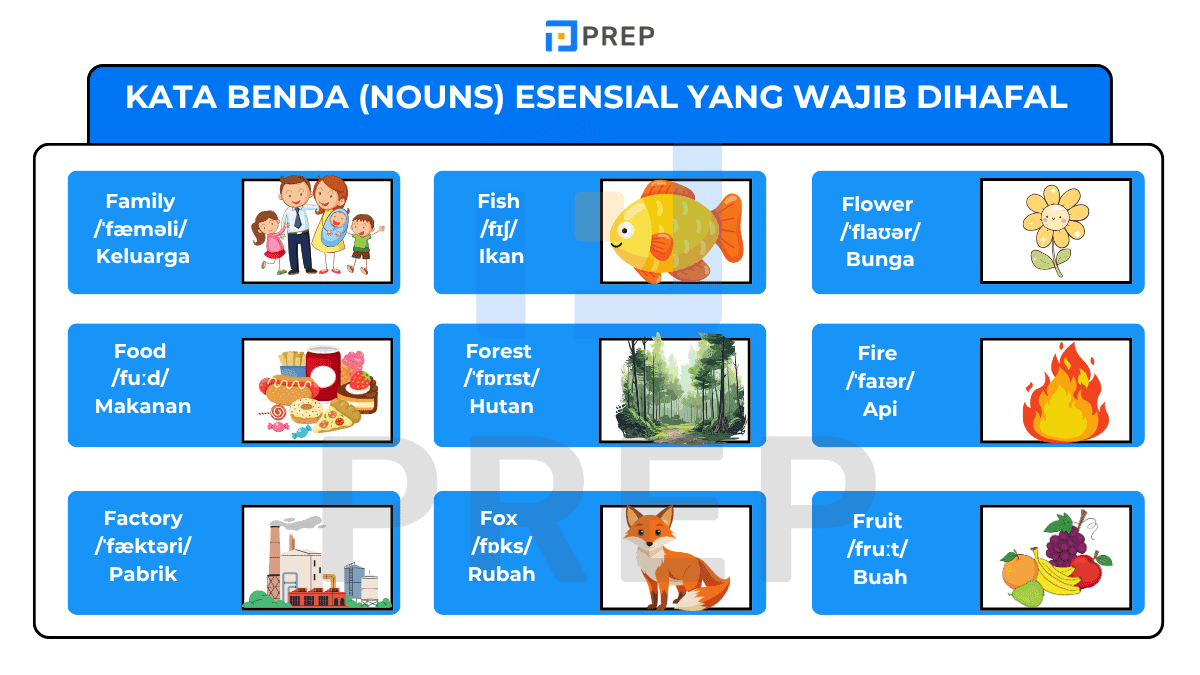 Kata Benda (Nouns) Esensial yang Wajib Dihafal