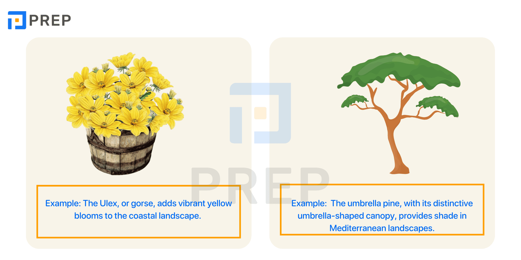 English words starting with U about plants