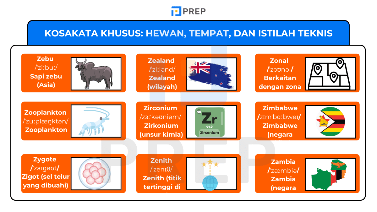 Kosakata Khusus: Hewan, Tempat, dan Istilah Teknis