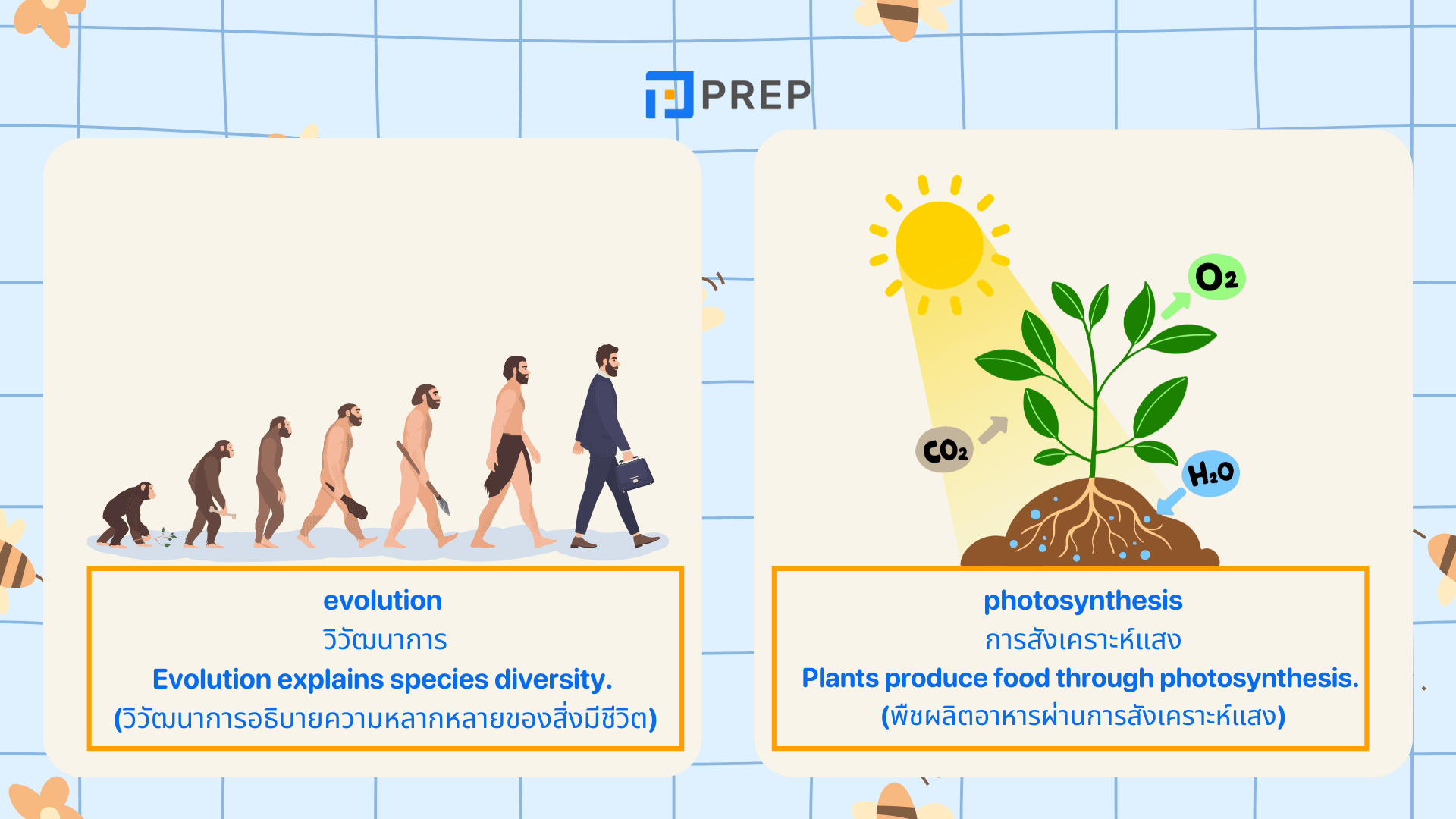 รวมคํา ศัพท์ วิทยาศาสตร์ ภาษา อังกฤษสำคัญที่นักเรียนควรรู้