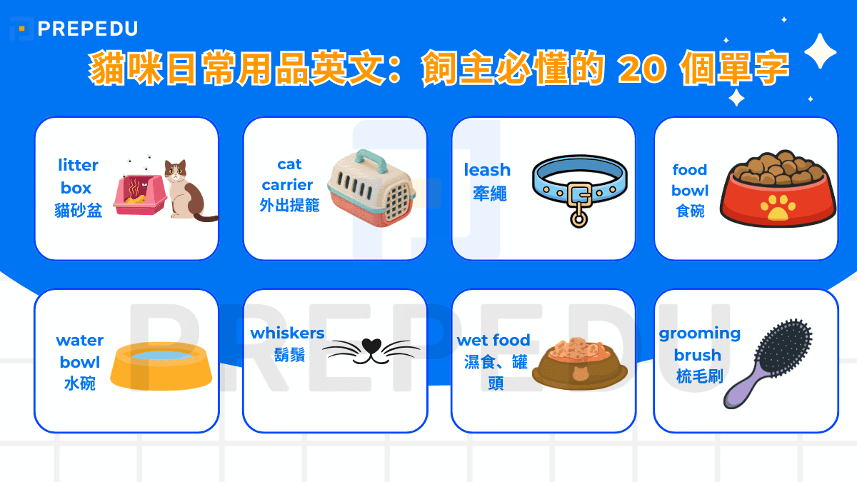 貓咪日常用品英文：飼主必懂的 20 個單字