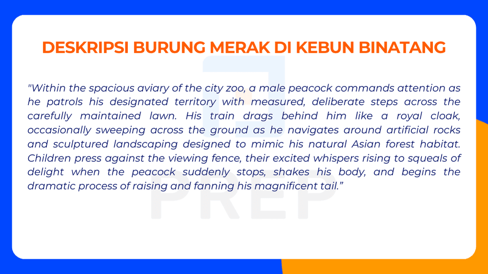 Deskripsi Burung Merak di Kebun Binatang