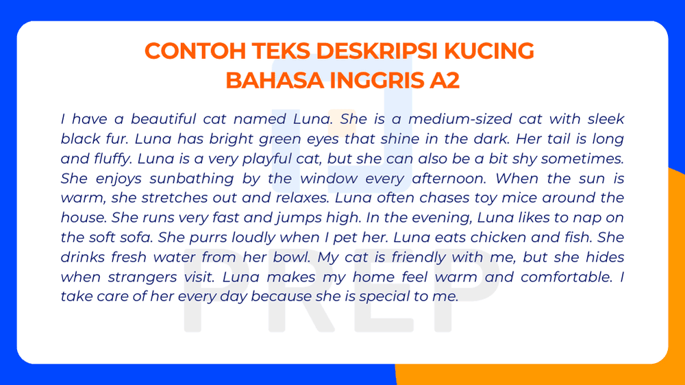 Contoh Teks Deskripsi Kucing Bahasa Inggris Tingkat A2 yang Lebih Natural
