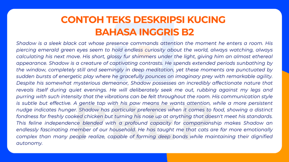 Deskripsi Kucing Bahasa Inggris Level B2 dengan Struktur Kompleks
