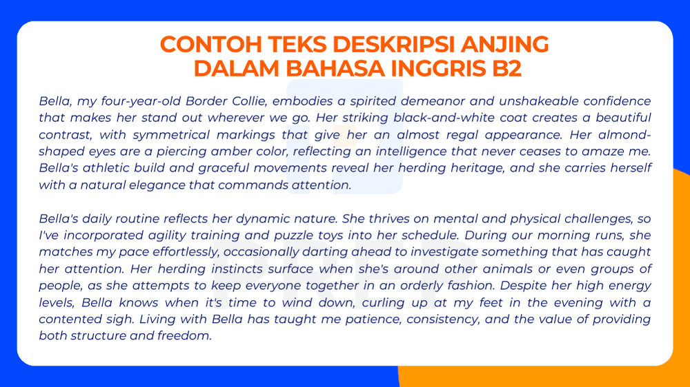 Membuat Anjing “Hidup” Lewat Bahasa Inggris Level B2