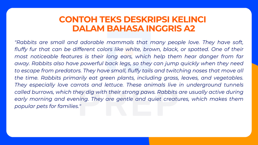Mengembangkan Deskripsi Kelinci di Level A2