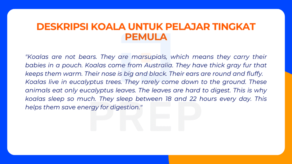Deskripsi Koala dalam Bahasa Inggris Versi Dasar yang Mudah Dipraktikkan
