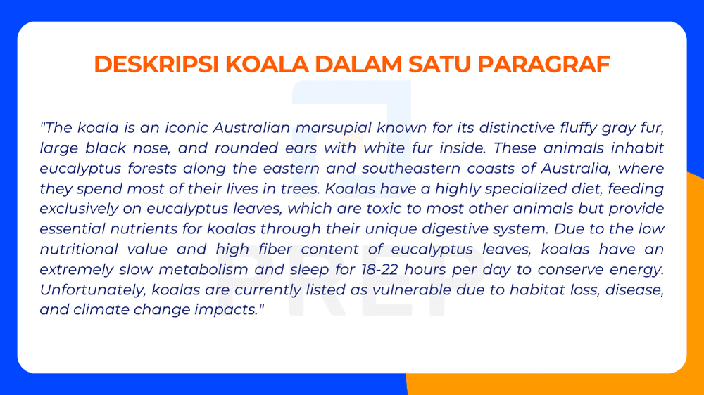 Deskripsi Koala dalam Bahasa Inggris: Padat, Terarah