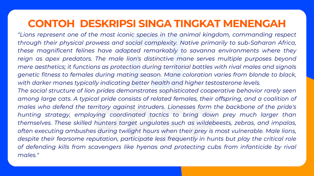 Contoh  Deskripsi Singa Tingkat Menengah