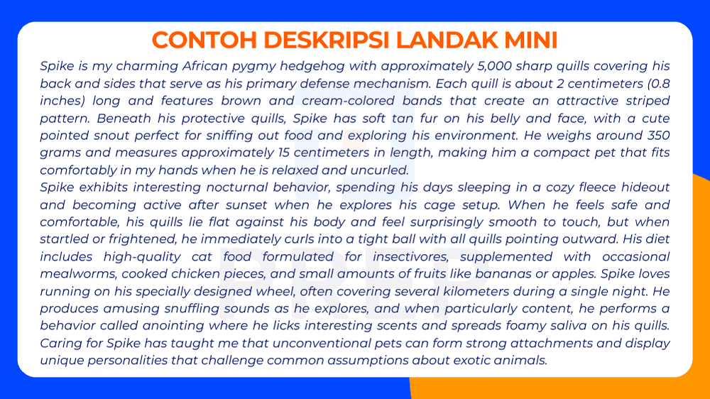 Contoh Deskripsi Landak Mini dalam Bahasa Inggris