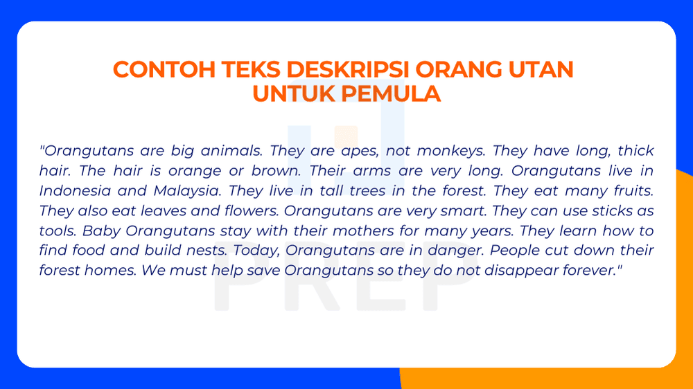 Contoh Teks Deskripsi Orang utan untuk Pemula