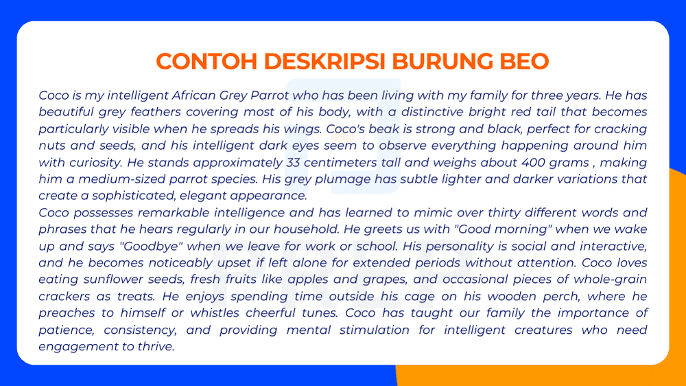 Contoh Deskripsi Burung Beo dalam Bahasa Inggris