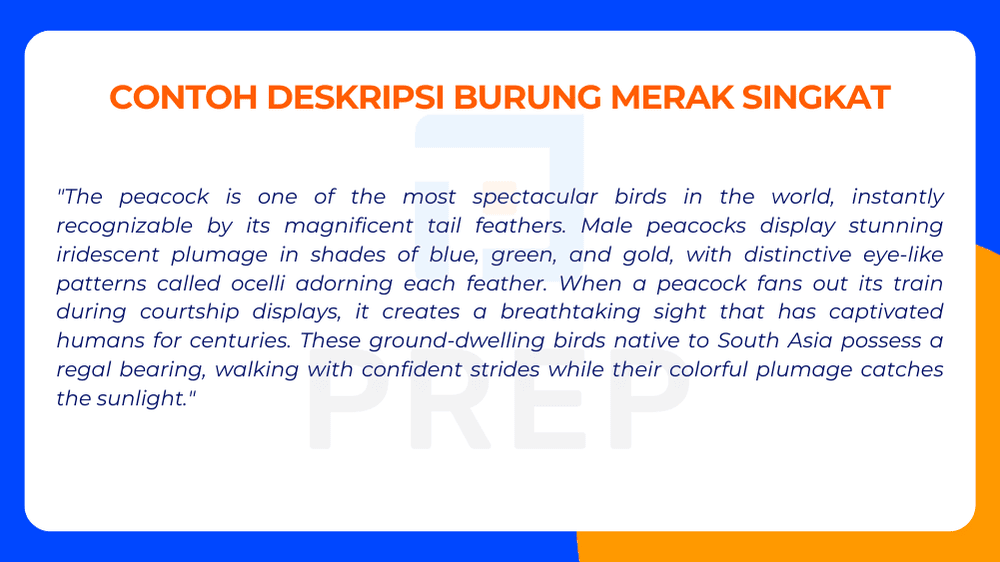 Contoh Deskripsi Burung Merak Singkat