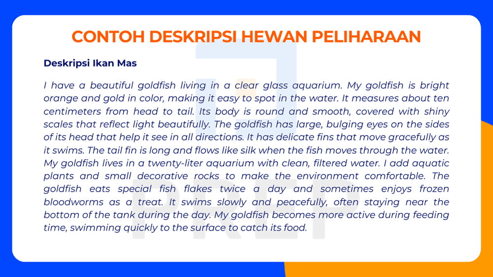 Contoh Deskripsi Ikan Mas dalam Bahasa Inggris