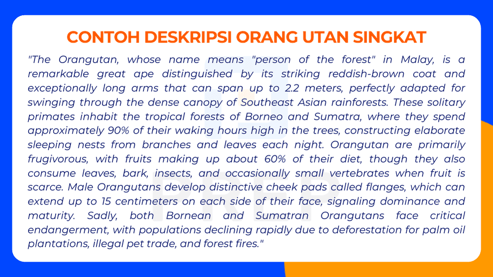 Contoh Deskripsi Orang utan Singkat