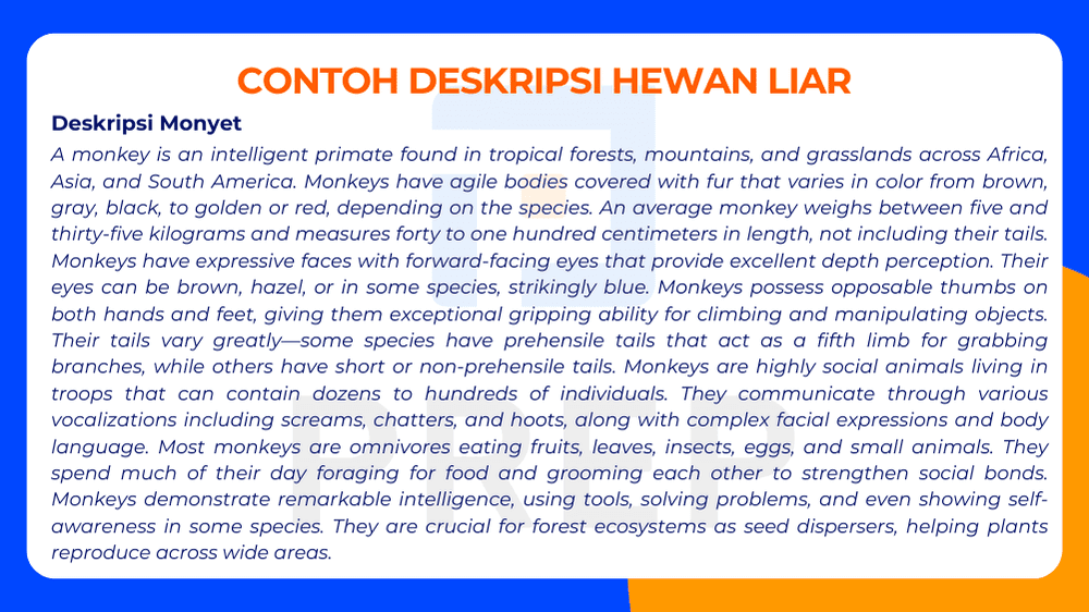 Contoh Deskripsi Monyet dalam Bahasa Inggris