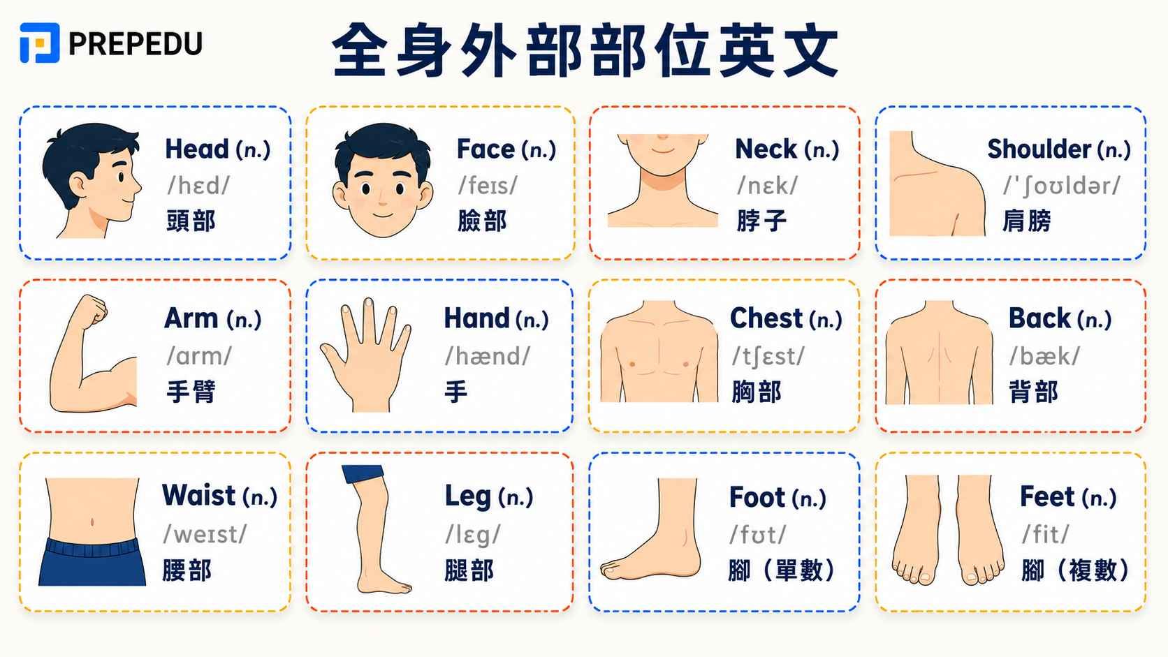 external-body-parts-in-english.jpg